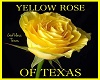yellow roses of texas