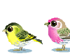 Two Bird Hop
