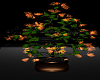 ~EB1~ Back Home Tree