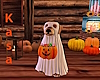 Halloween Dog Ghost