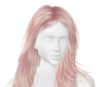 *Light Pink Geiver*