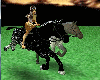 APPALOOSA HORSES & LAND