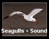 !~TC~! Flying Seagulls+S