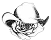 Hat Rose