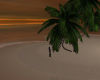 Sensual beach