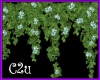 C2u 2-D Flowered Vine