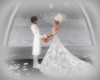 congratulations confetti