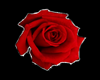 Red Rose - RUG