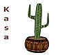 Country Cactus Barrel