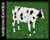 (TT) FH Animated Cow