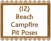 Beach Campfire Pit Poses