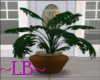 ~LB Potted Plant