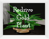 Redrive Gold Plant