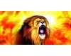 LionRoom