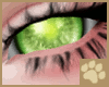 ~AM~ Otono Eyes v5
