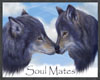 wolf soul mate