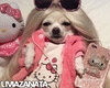 hello kitty dog cutout