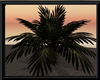 Tropical Animated Palm