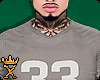 𝓧. 33 Chrome Sleeve