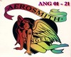 Aerosmith Angel *LD*