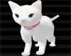 [DV] White Cat