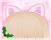 mini cat ears!♡