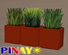 Potted Grass - Clay