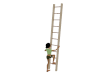 Penthouse Ladder