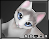 R║ Cute Cat