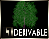 !LL! Derive Willow Tree