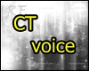 CT voice