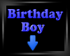 Birthday Boy HeadSign