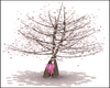 Cherry Blossom Tree 2