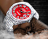 ICE WATCH