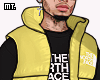ð¥. North Y Puffer