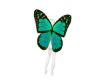 Animated Butterfly Wings