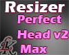 LK Resizer Head Max 2