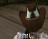 Westren Cowhide Hat