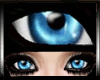 Blue Eyes Zero Degree|F