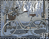Winter Bicycle Flowers