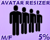 Avatar Resizer 5%