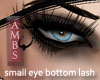 Small Eye Bottom Lash