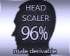 Head Sclaer 96%