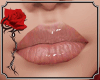 * Diane Lips Transparent