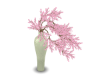 Flower Pot