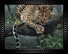 🐆 Jaguar Cutout