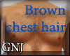 [GNJ] Brown chest hair