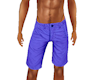 S4E Purple Shorts