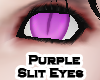 Purple (M) [Slit Eyes]