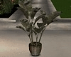 T- Terr: Plant
